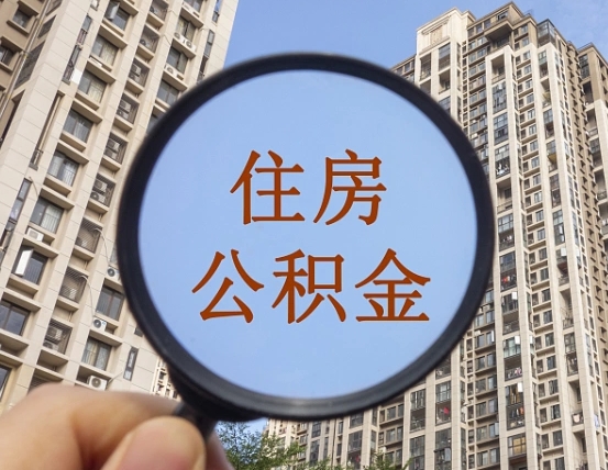 雄安新区退休后查不到公积金明细了吗（退休后公积金查询不到原因）